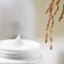 Crème hydratante au riz