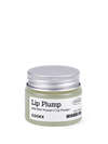 Soin repulpant lèvres Refresh AHA BHA Vitamin C Lip Plumper COSRX, 20 g, vue de face